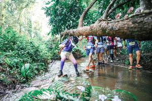 BIB: 
                            <button type="button" onclick="openModal(25474897)" class="btn btn-primary btn-sm float-right btn-popup" data-toggle="modal" data-target=".modal-high-quality">
                        <i class="fas fa-shopping-cart"></i> Add to Cart
                    </button>
                                            <button type="button" onclick="isThisMe(25474897, true)" class="btn btn-success btn-sm float-right btn-popup btn-isme hidden" data-toggle="tooltip" data-placement="bottom" title="นี่คือรูปของคุณใช่ไหม คลิกที่นี่เพื่อเอาเข้าอัลบั้ม">
                        <i class="fas fa-plus"></i> Add to album
                    </button>
                    <button type="button" onclick="isThisMe(25474897, false)" class="btn btn-warning btn-sm float-right btn-popup btn-isnotme hidden">
                        <i class="fas fa-ban"></i> Remove from album
                    </button>